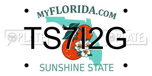 TS7I2G Florida License Plate