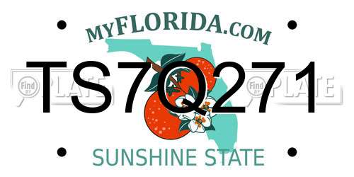 TS7Q271 Florida License Plate