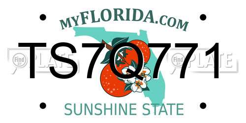 TS7Q771 Florida License Plate