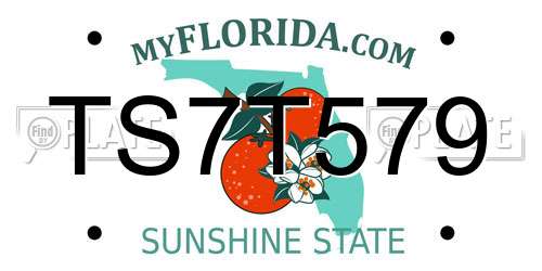 TS7T579 Florida License Plate