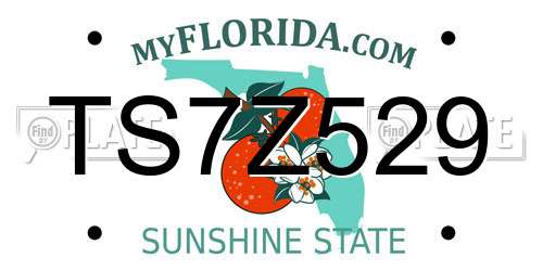 TS7Z529 Florida License Plate