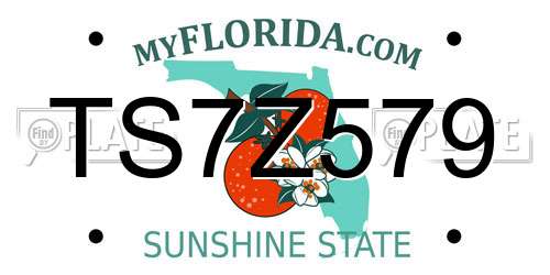 TS7Z579 Florida License Plate