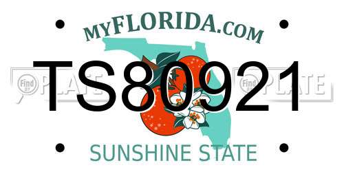 TS80921 Florida License Plate