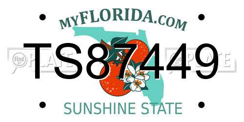 TS87449 Florida License Plate