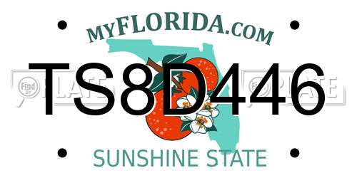 TS8D446 Florida License Plate