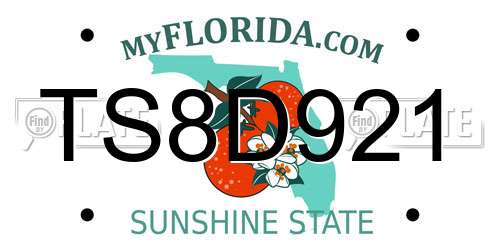TS8D921 Florida License Plate