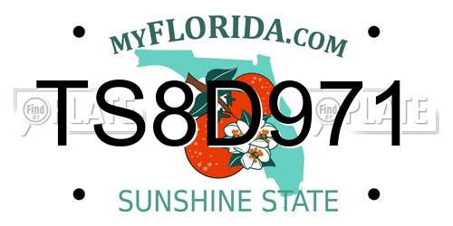 TS8D971 Florida License Plate