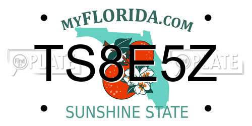 TS8E5Z Florida License Plate