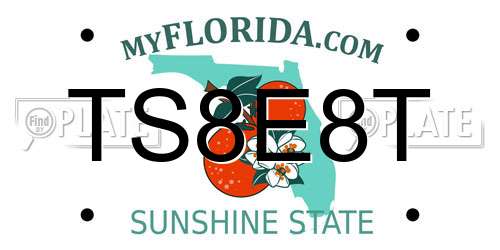 TS8E8T Florida License Plate