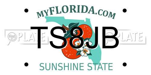 TS8JB Florida License Plate