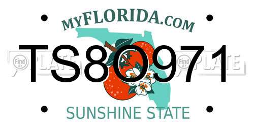 TS8O971 Florida License Plate