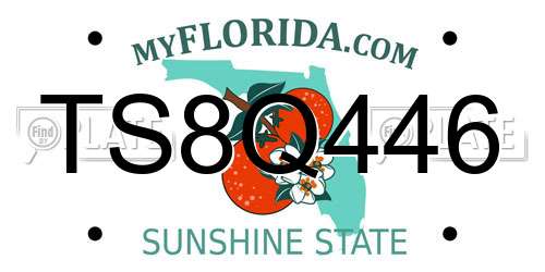 TS8Q446 Florida License Plate