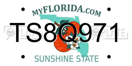TS8Q971 Florida License Plate