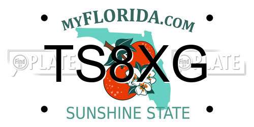 TS8XG Florida License Plate