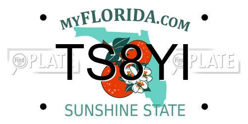 TS8YI Florida License Plate