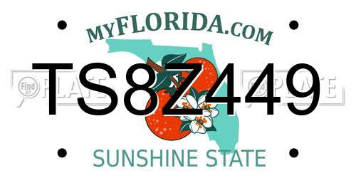 TS8Z449 Florida License Plate