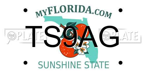 TS9AG Florida License Plate