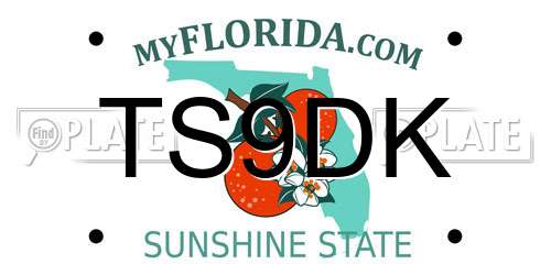 TS9DK Florida License Plate