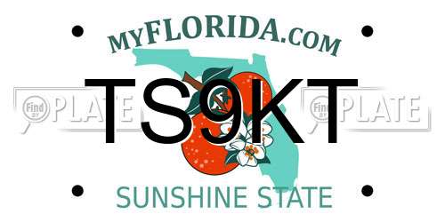 TS9KT Florida License Plate