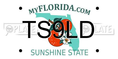 TS9LD Florida License Plate