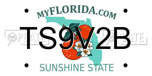 TS9V2B Florida License Plate