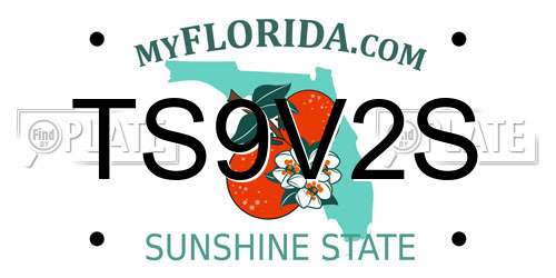 TS9V2S Florida License Plate