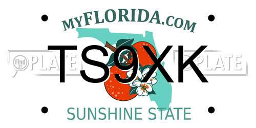 TS9XK Florida License Plate