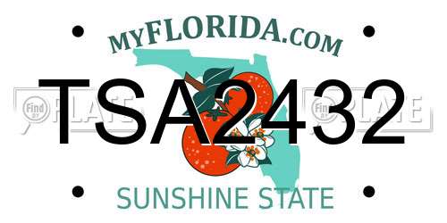 TSA2432 Florida License Plate
