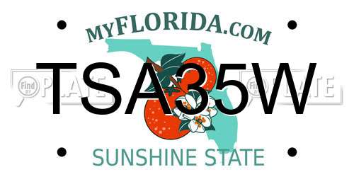 TSA35W Florida License Plate