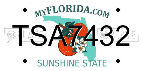 TSA7432 Florida License Plate