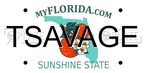 TSAVAGE Florida License Plate