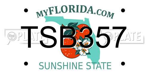 TSB357 Florida License Plate