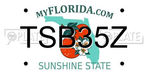TSB35Z Florida License Plate