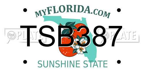 TSB387 Florida License Plate