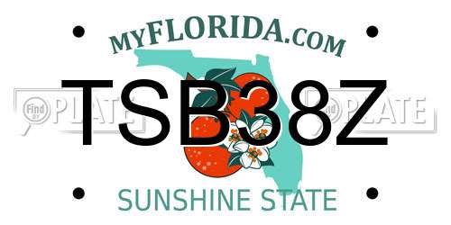 TSB38Z Florida License Plate
