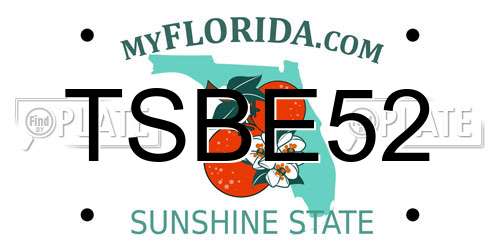 TSBE52 Florida License Plate