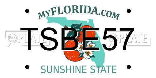 TSBE57 Florida License Plate