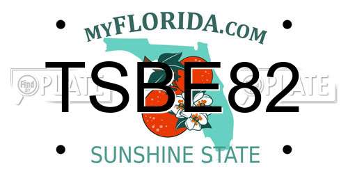 TSBE82 Florida License Plate