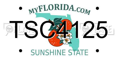 TSC4125 Florida License Plate