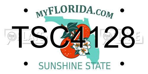 TSC4128 Florida License Plate