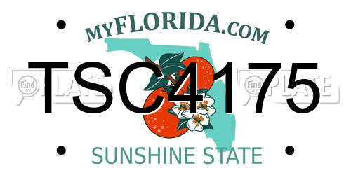 TSC4175 Florida License Plate