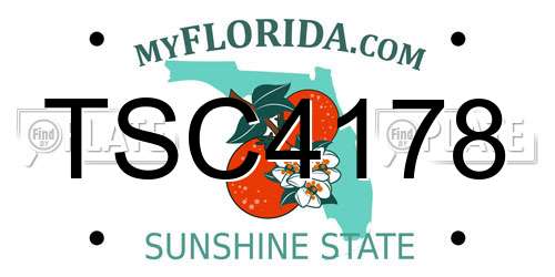TSC4178 Florida License Plate