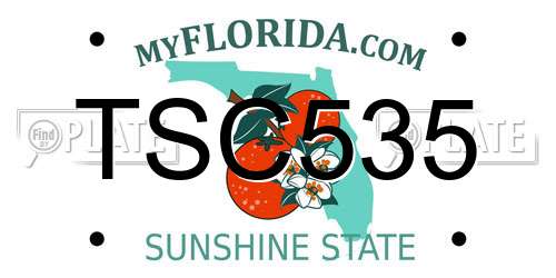 TSC535 Florida License Plate
