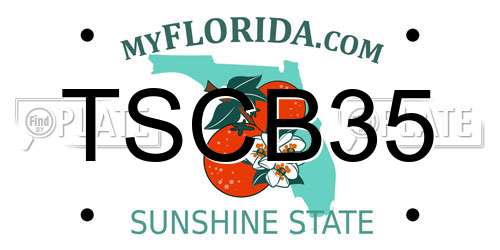TSCB35 Florida License Plate