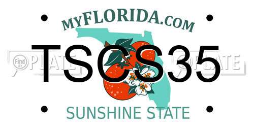 TSCS35 Florida License Plate