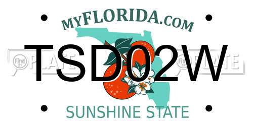 TSD02W Florida License Plate