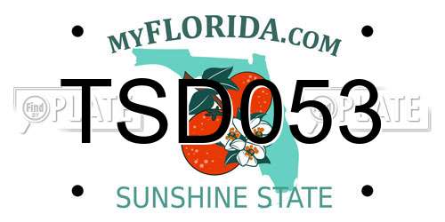 TSD053 Florida License Plate