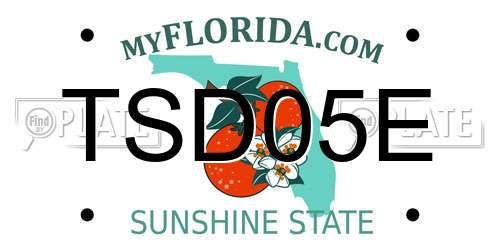 TSD05E Florida License Plate