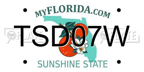 TSD07W Florida License Plate