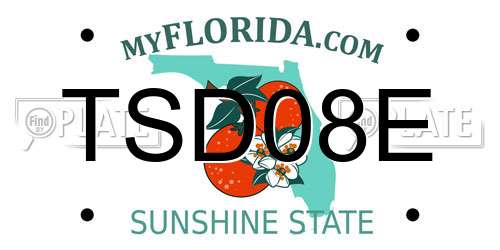 TSD08E Florida License Plate